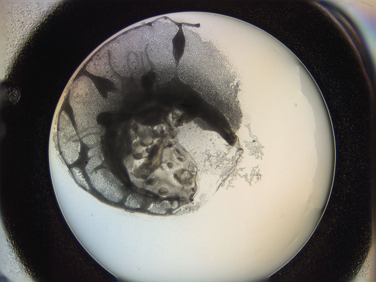 0626_F3_ImagerDefaults_3.jpg