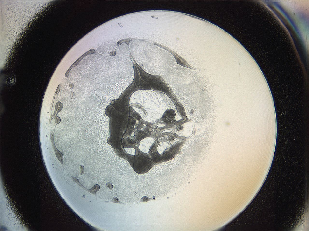 0626_F5_ImagerDefaults_3.jpg