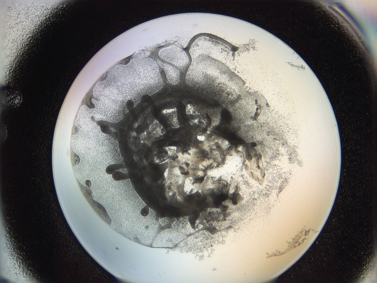 0626_F6_ImagerDefaults_3.jpg