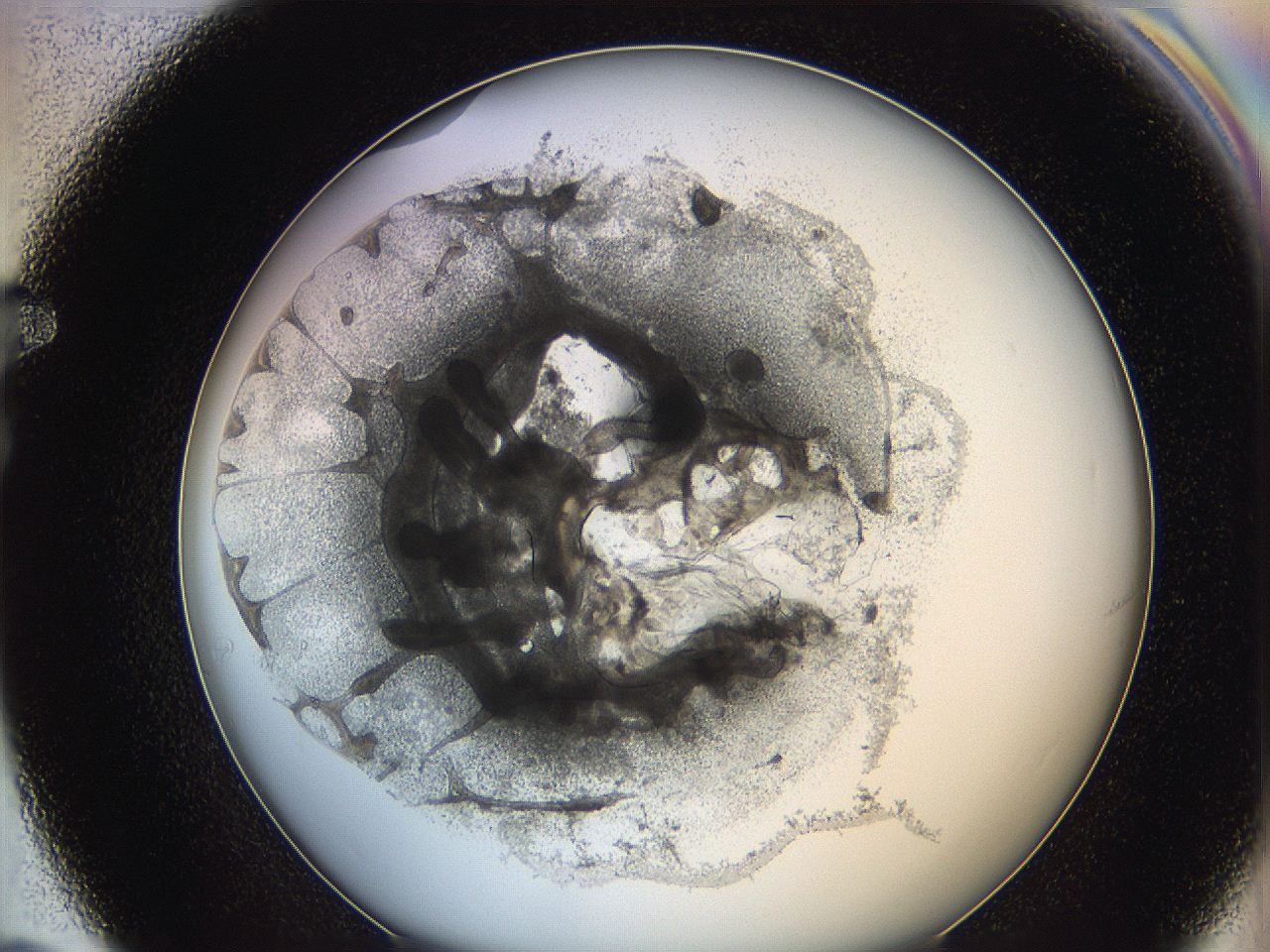 0626_F7_ImagerDefaults_3.jpg