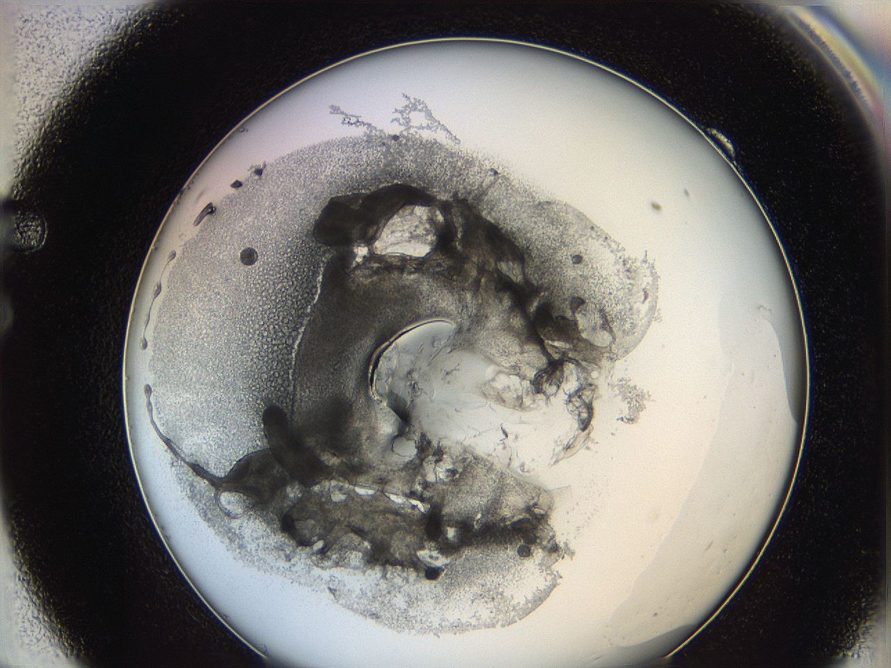 0626_F9_ImagerDefaults_3.jpg