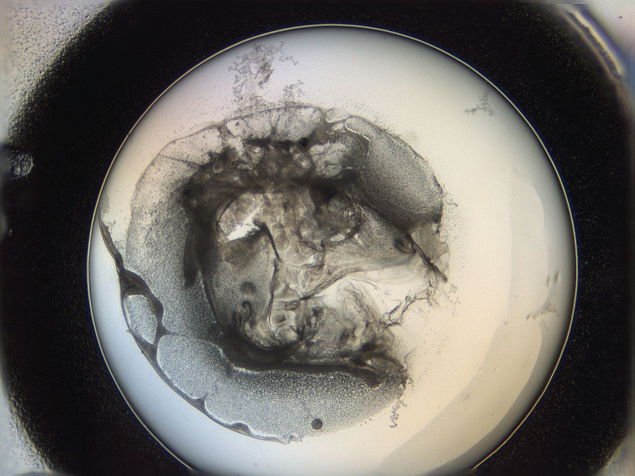 0626_F10_ImagerDefaults_3.jpg
