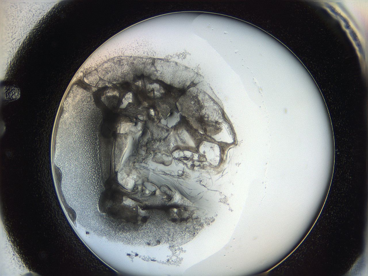 0626_F11_ImagerDefaults_3.jpg