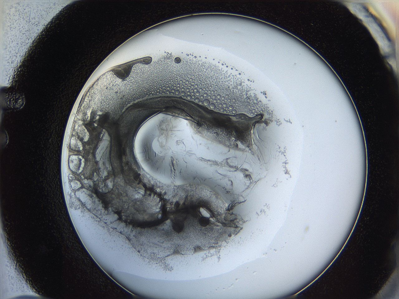 0626_F12_ImagerDefaults_3.jpg