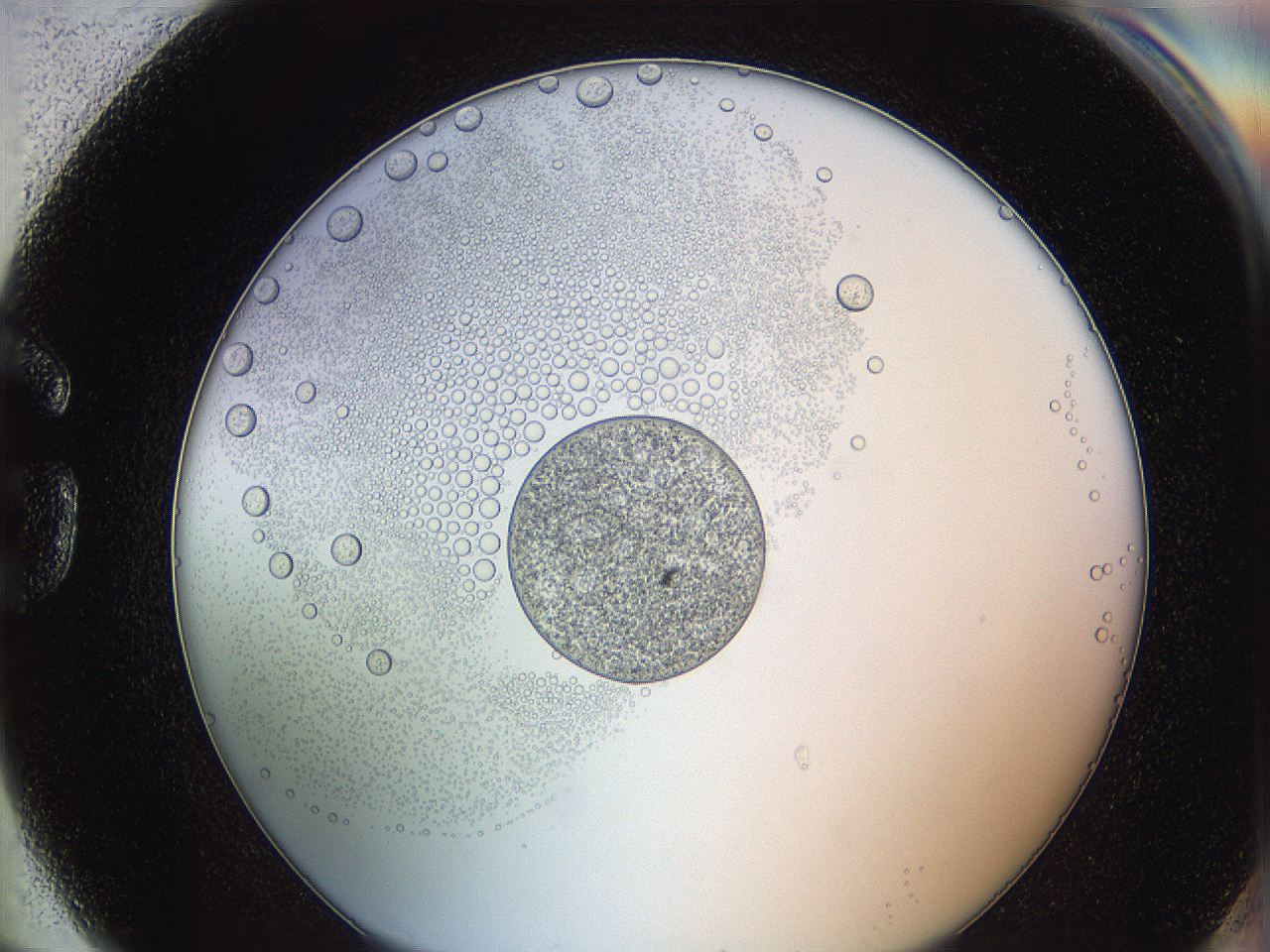 0626_G6_ImagerDefaults_5.jpg