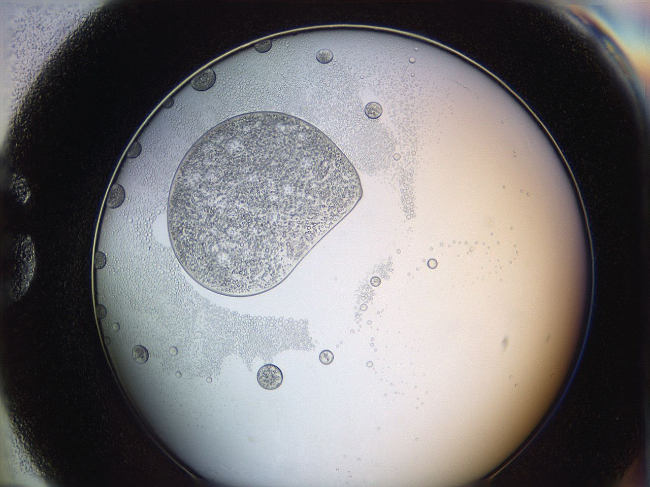 0626_G7_ImagerDefaults_5.jpg