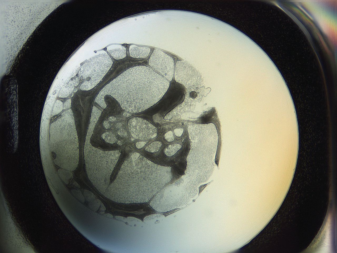0626_H1_ImagerDefaults_3.jpg