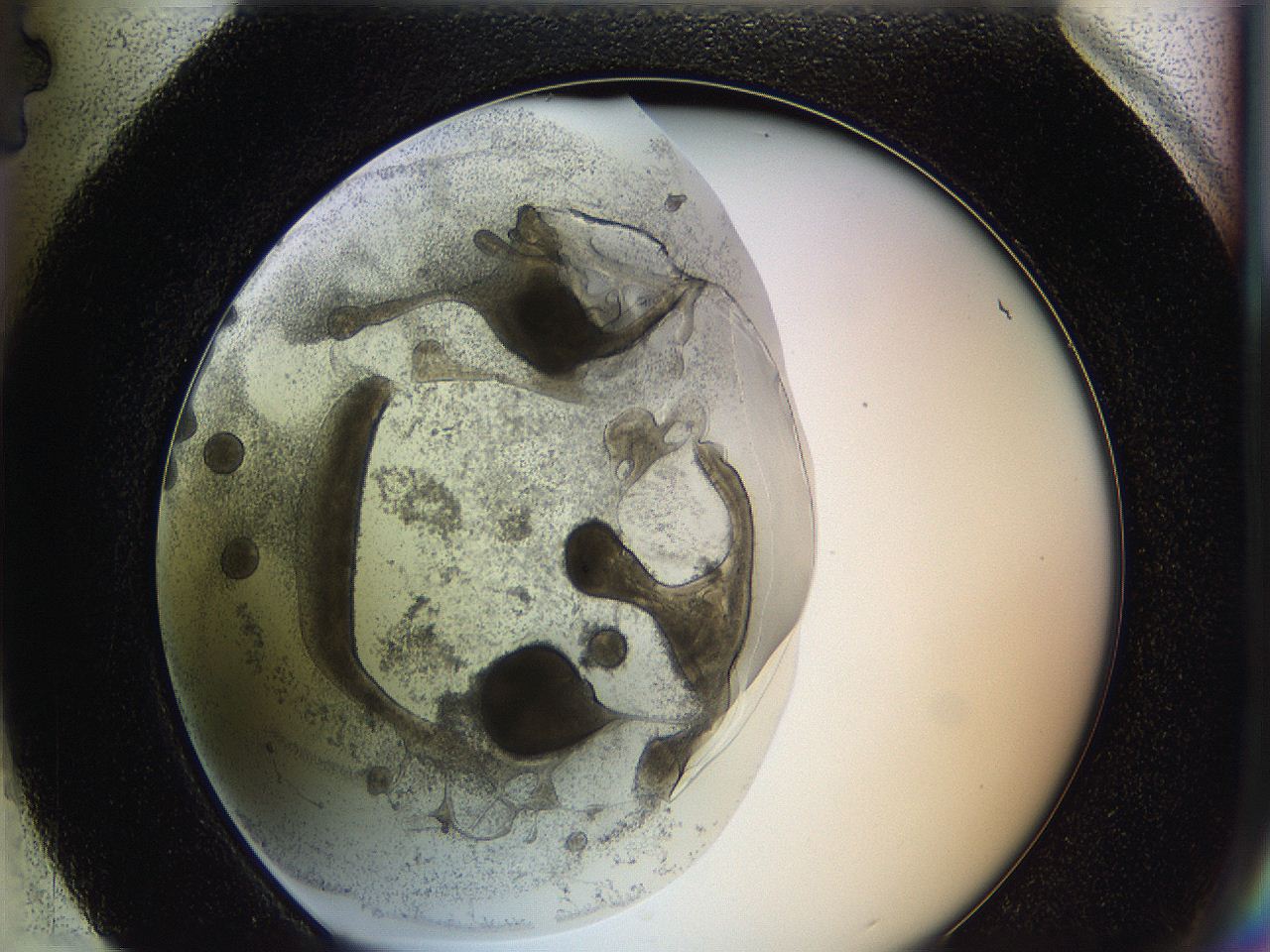 0626_H4_ImagerDefaults_4.jpg