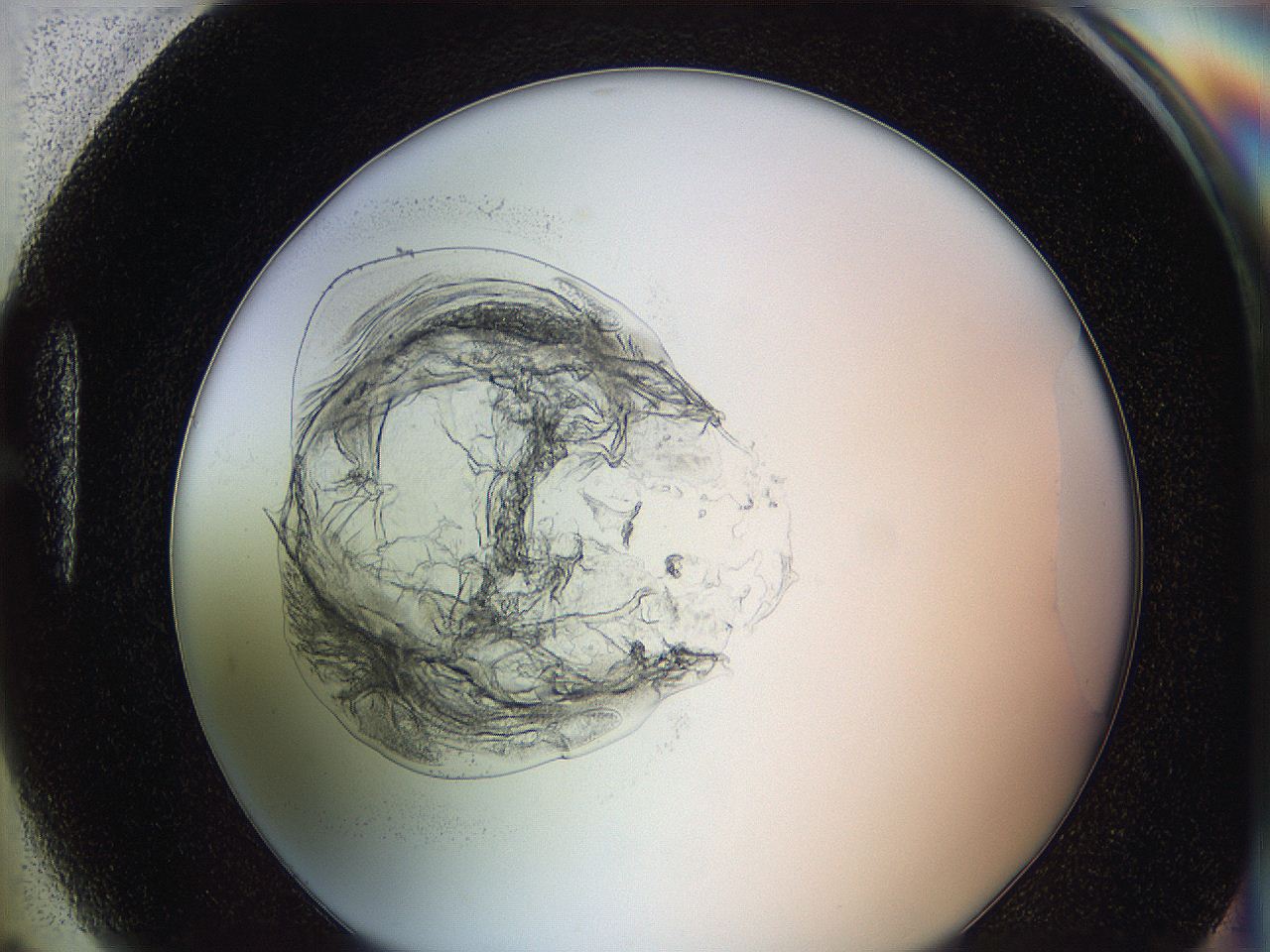 0626_H5_ImagerDefaults_3.jpg