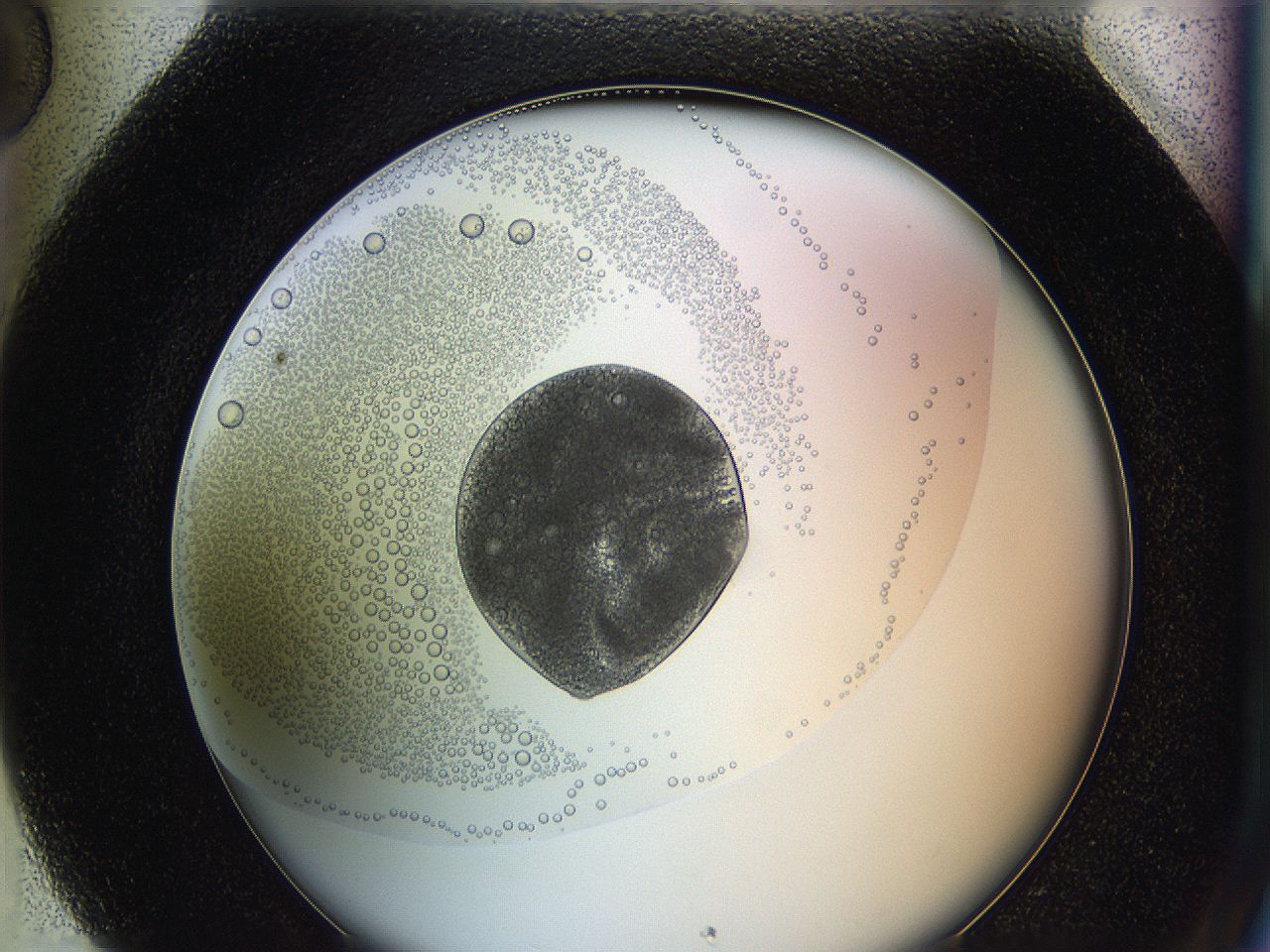 0626_H5_ImagerDefaults_5.jpg