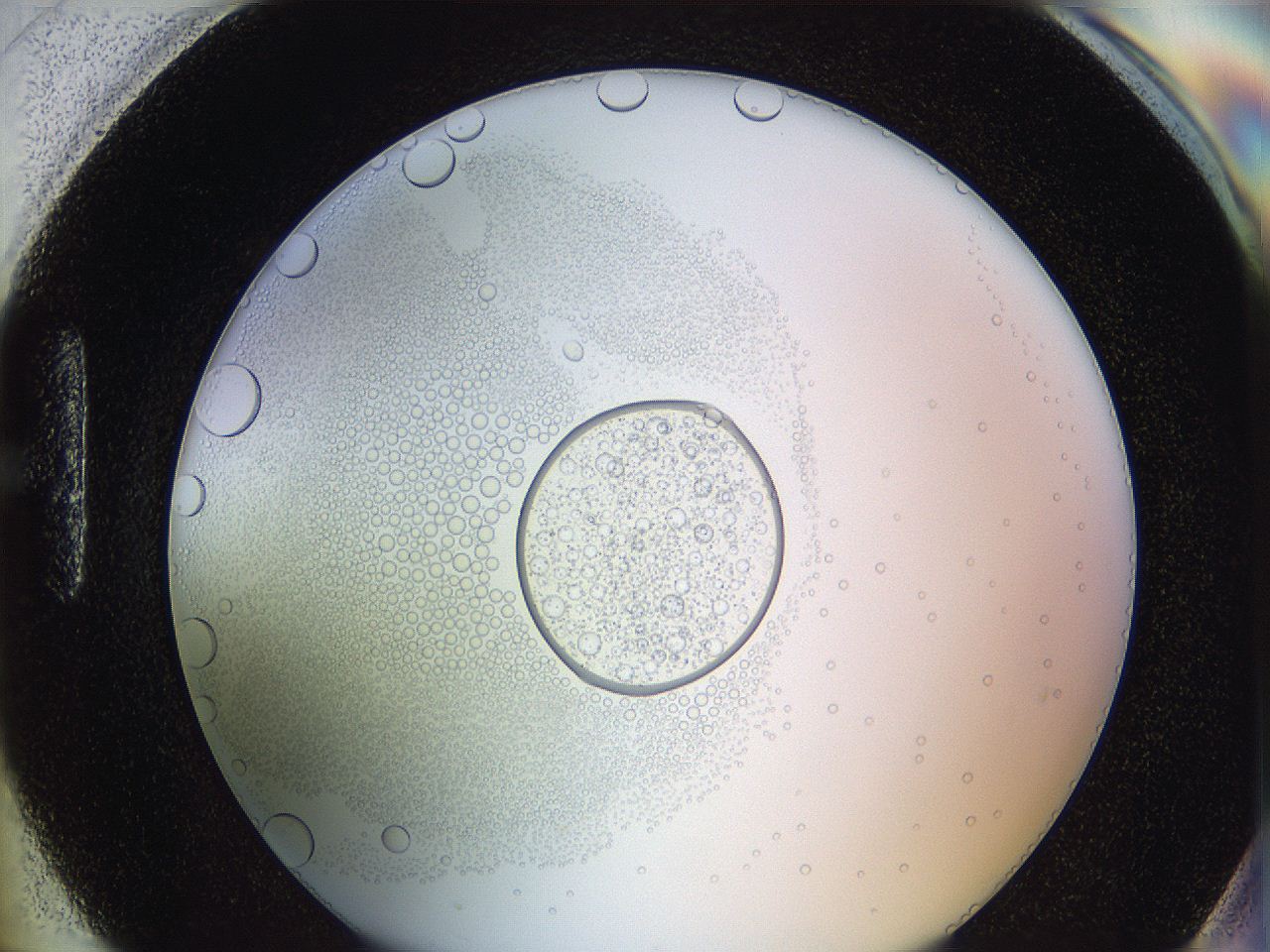 0626_H6_ImagerDefaults_5.jpg