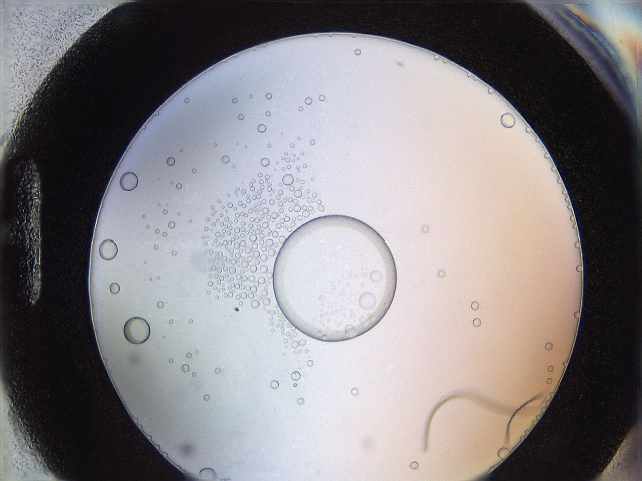 0626_H10_ImagerDefaults_5.jpg