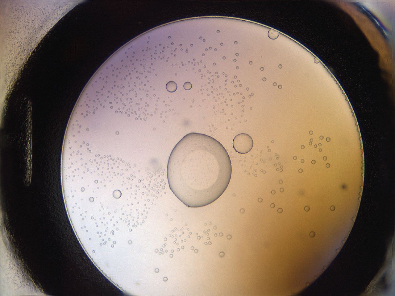 0626_H12_ImagerDefaults_5.jpg