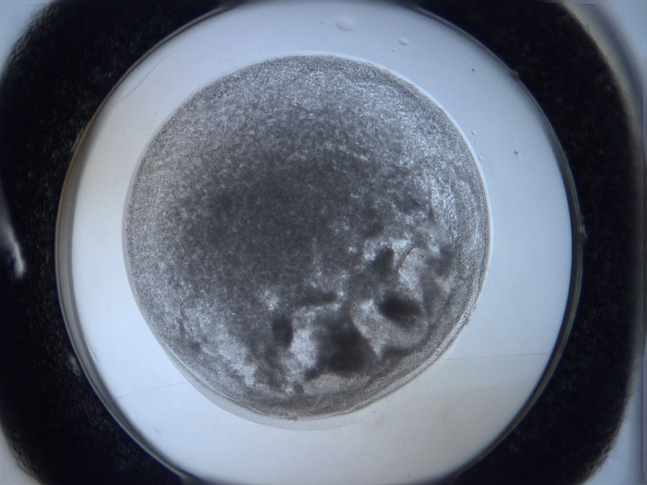 0627_A1_ImagerDefaults_3.jpg
