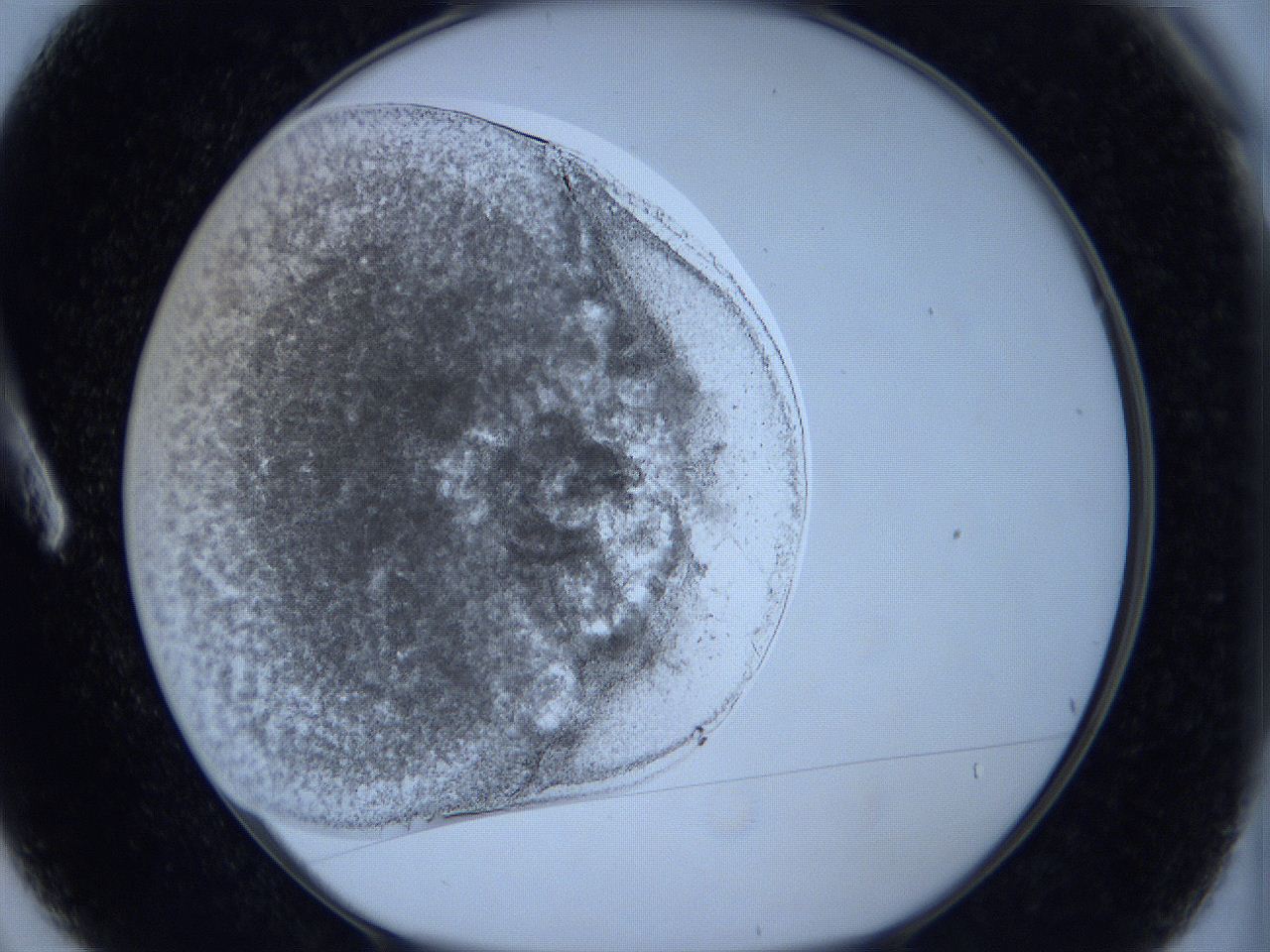 0627_A3_ImagerDefaults_4.jpg