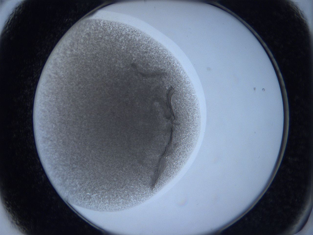0627_A3_ImagerDefaults_2.jpg