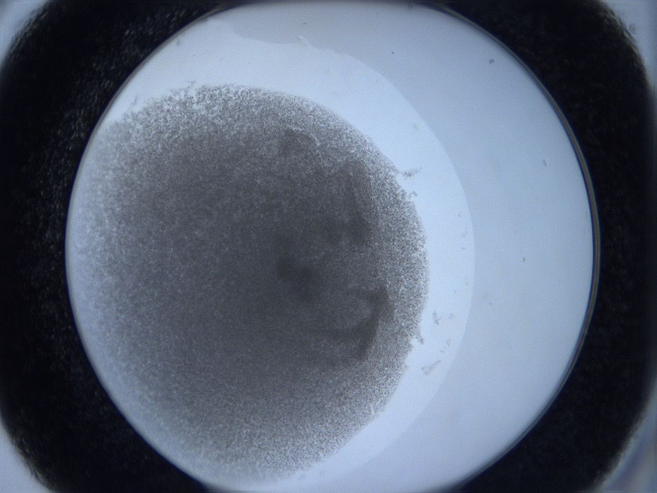 0627_A5_ImagerDefaults_2.jpg