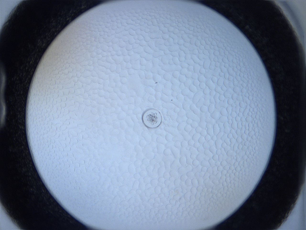 0627_B6_ImagerDefaults_0.jpg