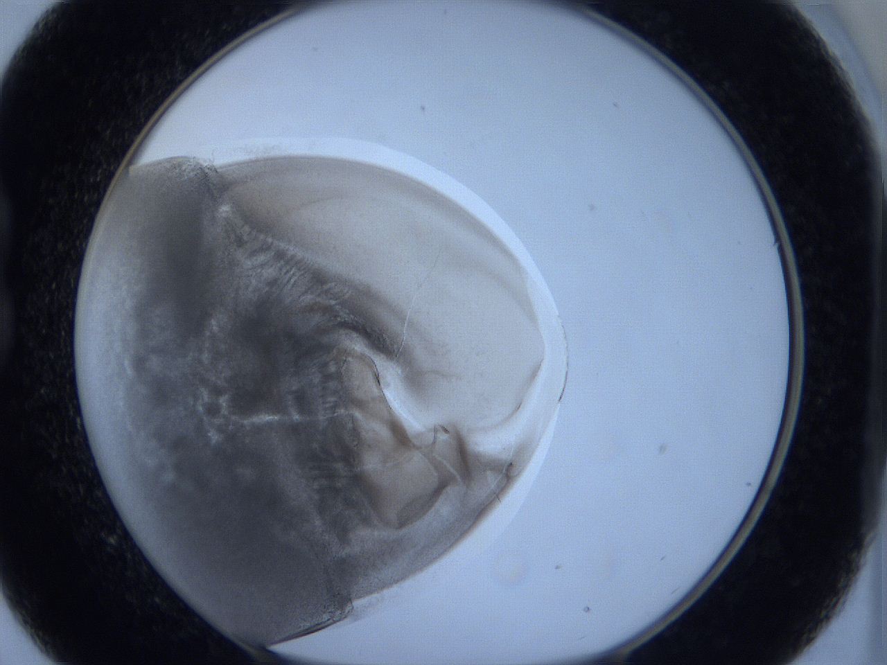 0627_B9_ImagerDefaults_3.jpg