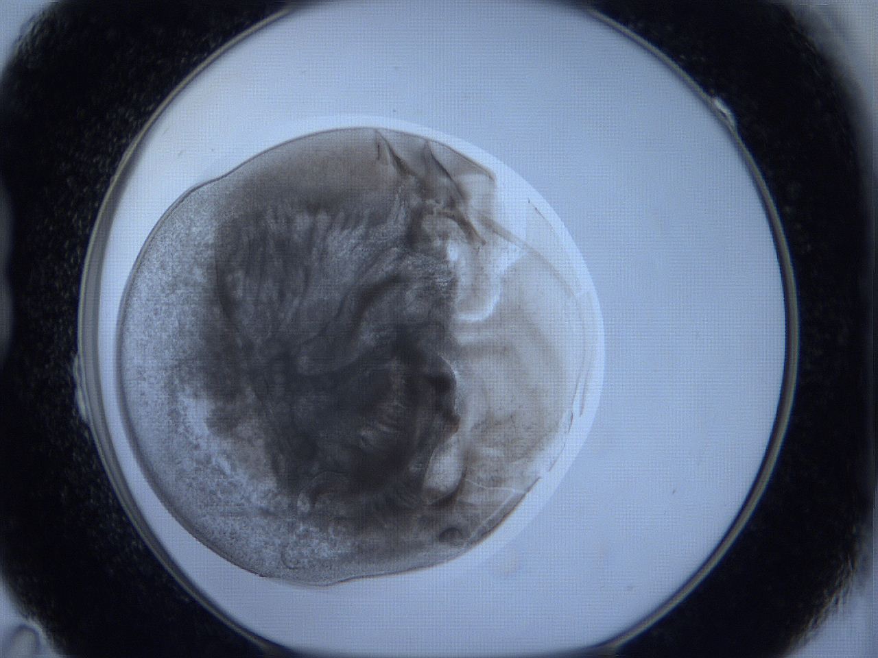 0627_B11_ImagerDefaults_3.jpg