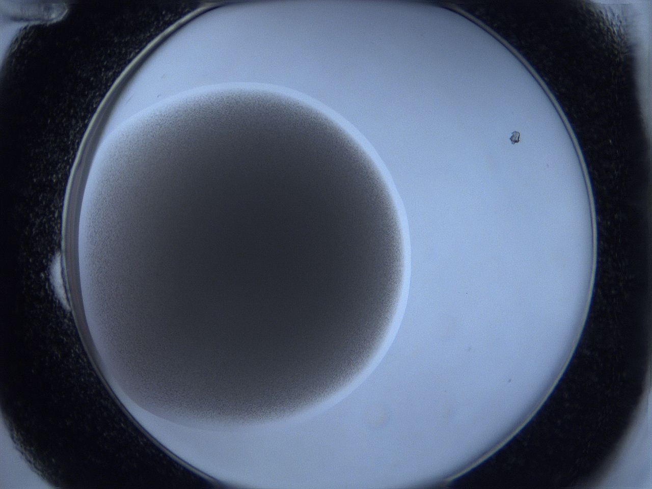0627_B12_ImagerDefaults_2.jpg