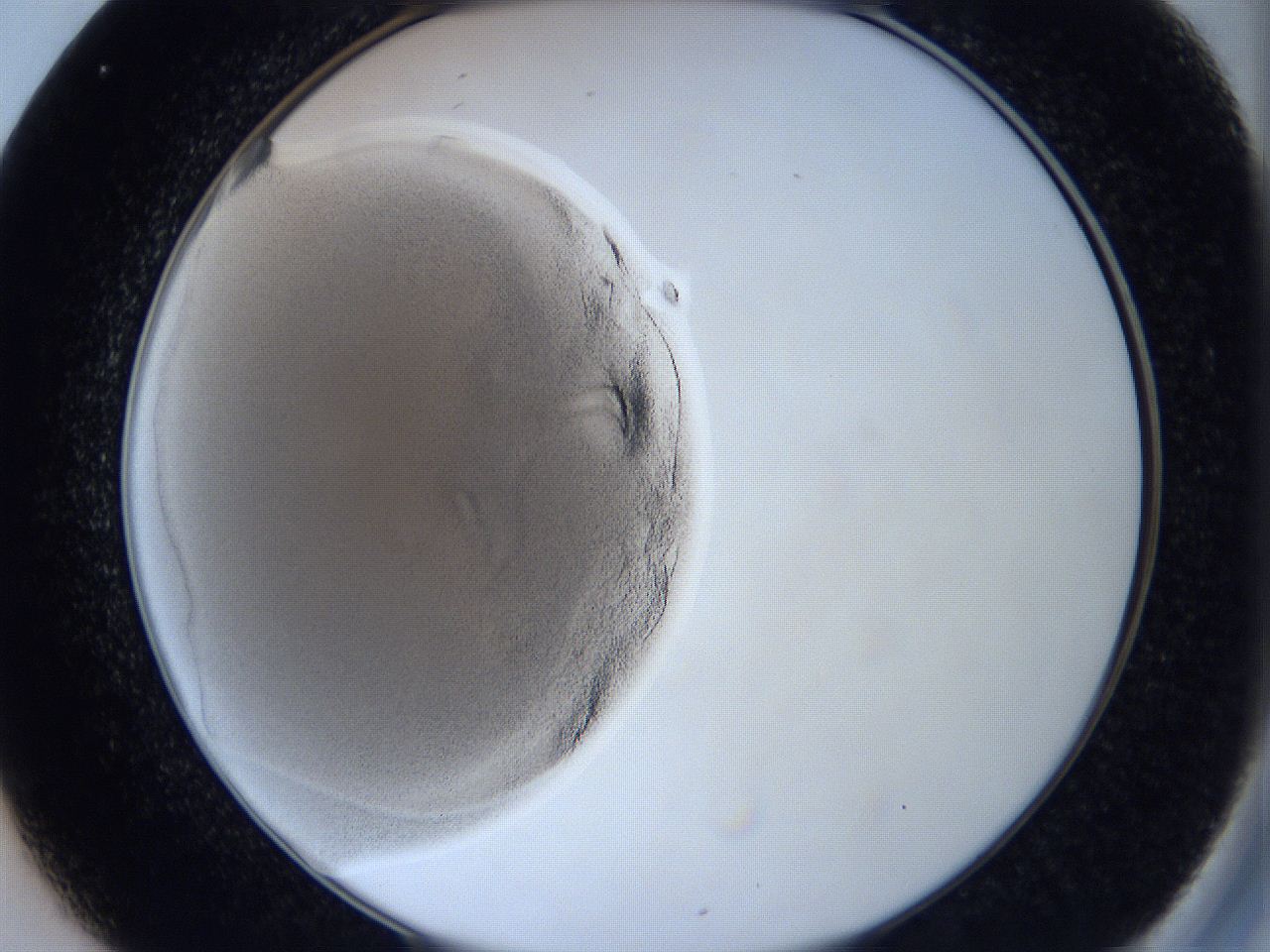 0627_C1_ImagerDefaults_2.jpg