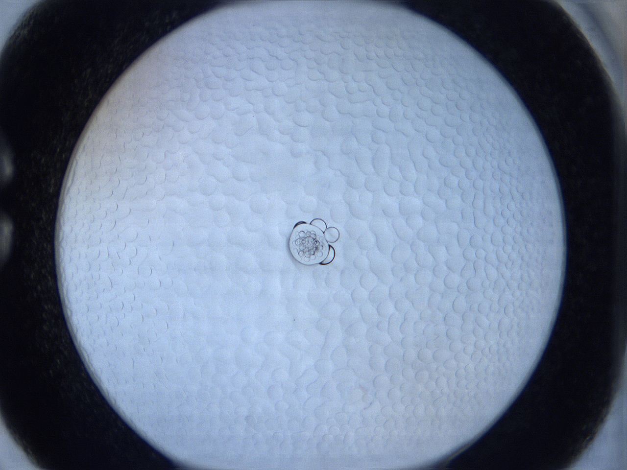 0627_C6_ImagerDefaults_0.jpg