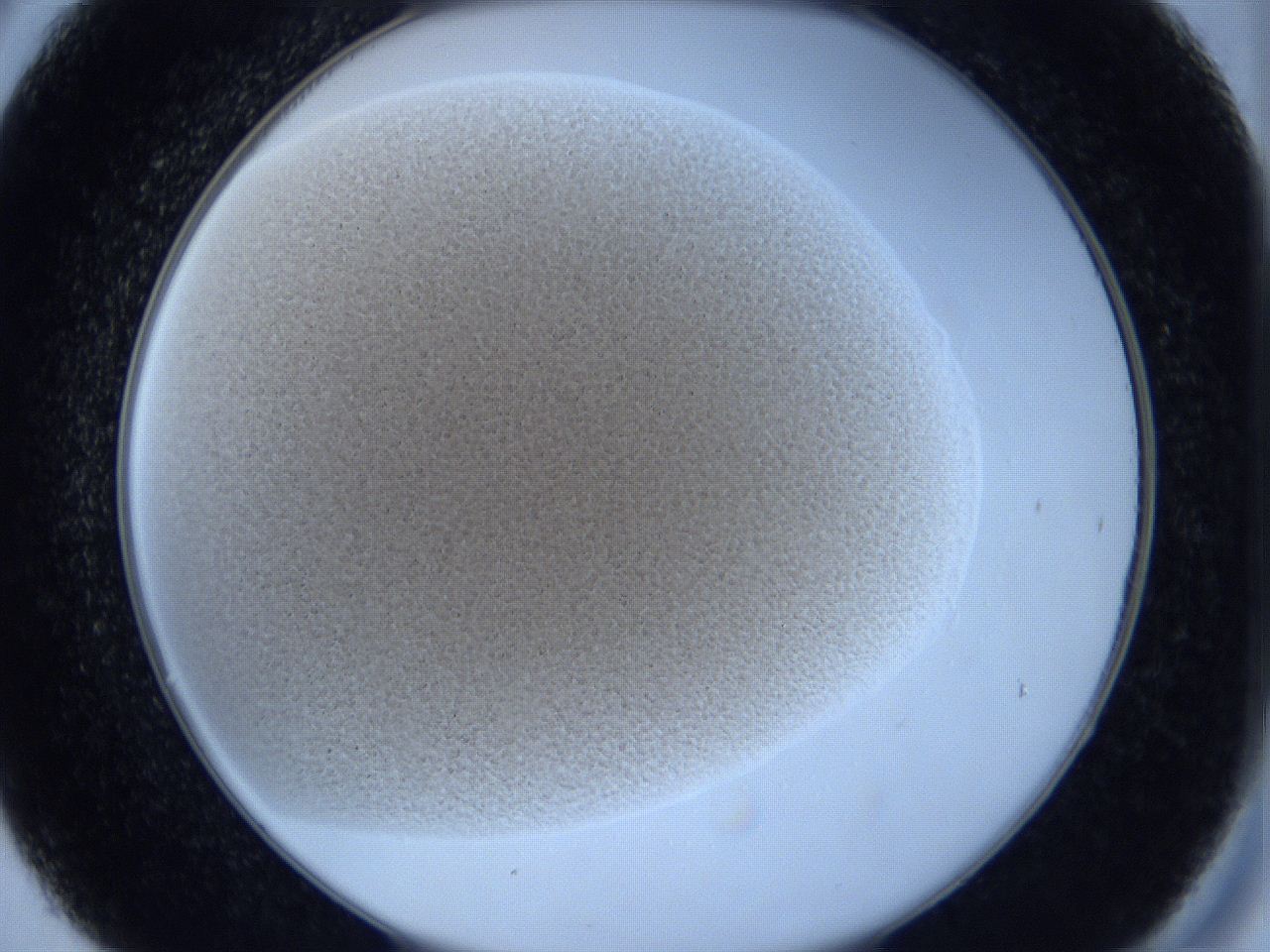 0627_C6_ImagerDefaults_2.jpg