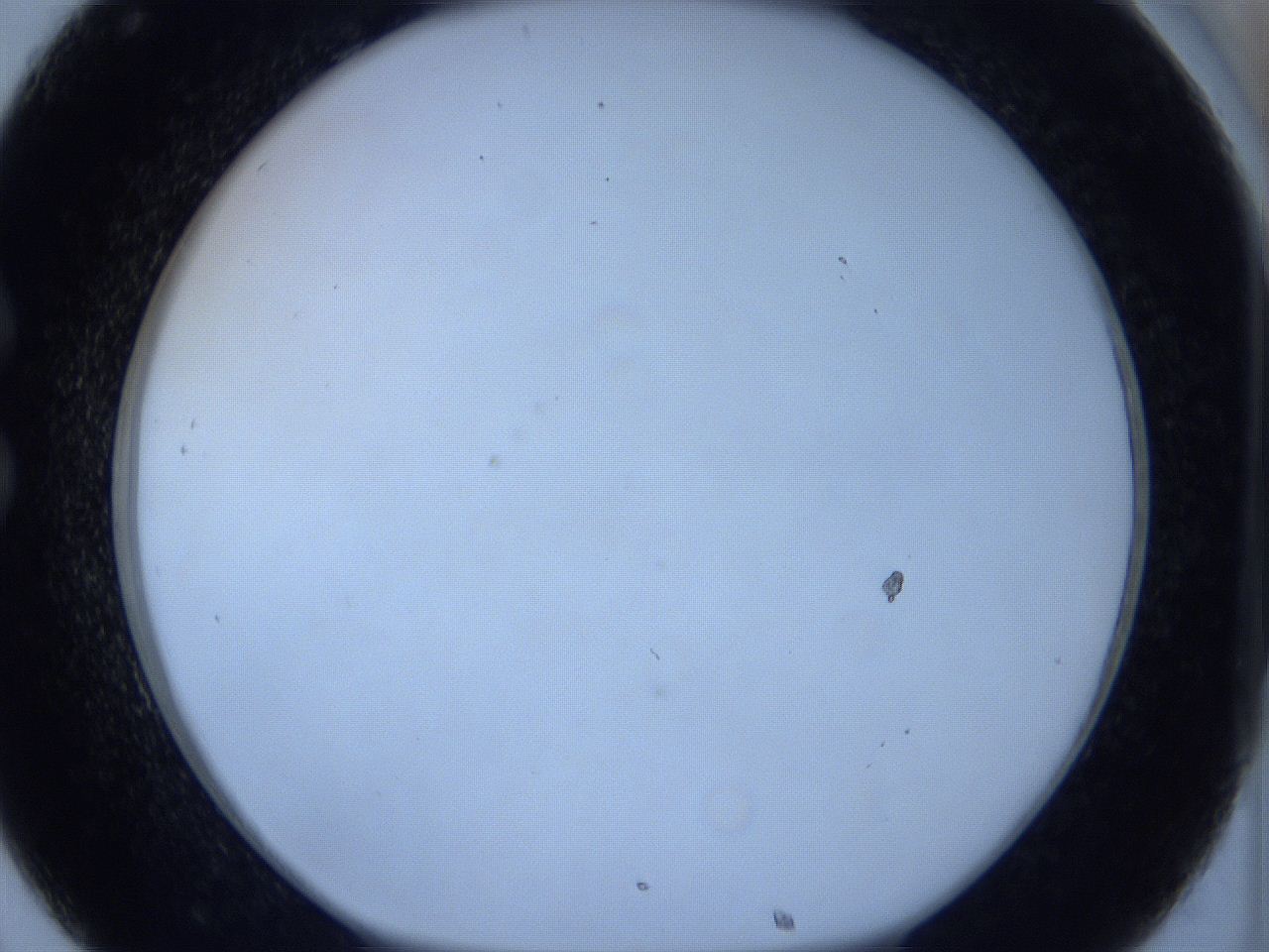 0627_C8_ImagerDefaults_0.jpg