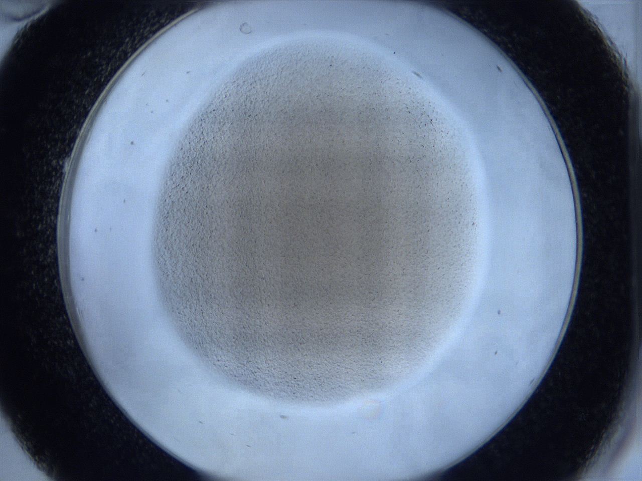 0627_C10_ImagerDefaults_2.jpg