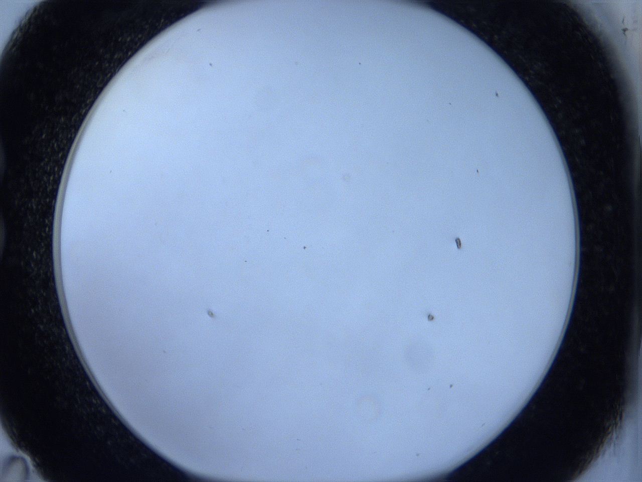 0627_C11_ImagerDefaults_0.jpg