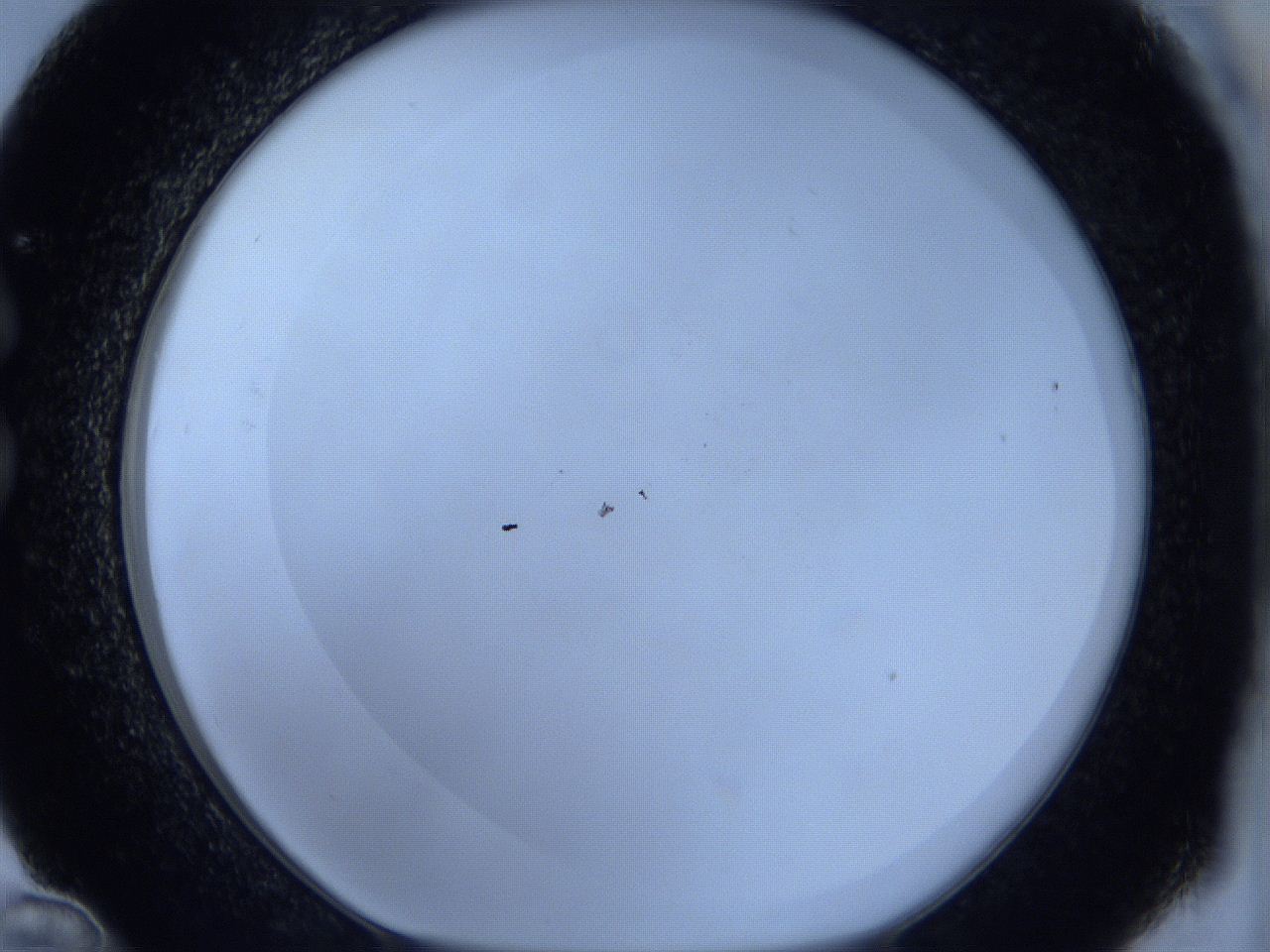 0627_C12_ImagerDefaults_0.jpg