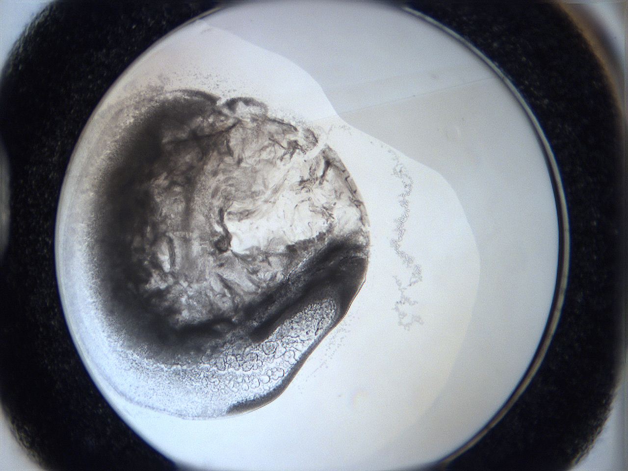 0627_D1_ImagerDefaults_3.jpg