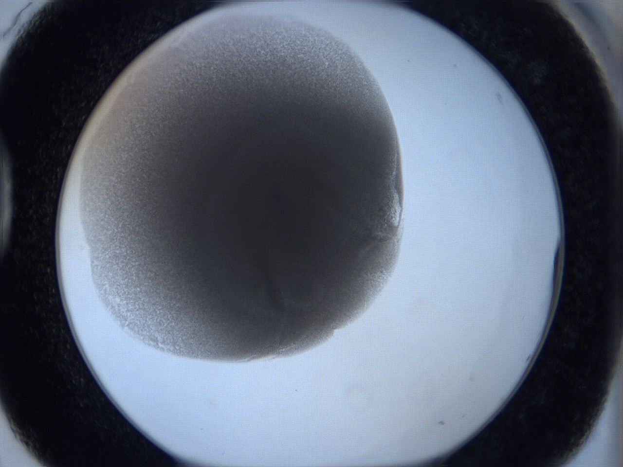 0627_D3_ImagerDefaults_3.jpg
