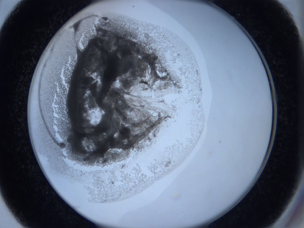 0627_D4_ImagerDefaults_3.jpg