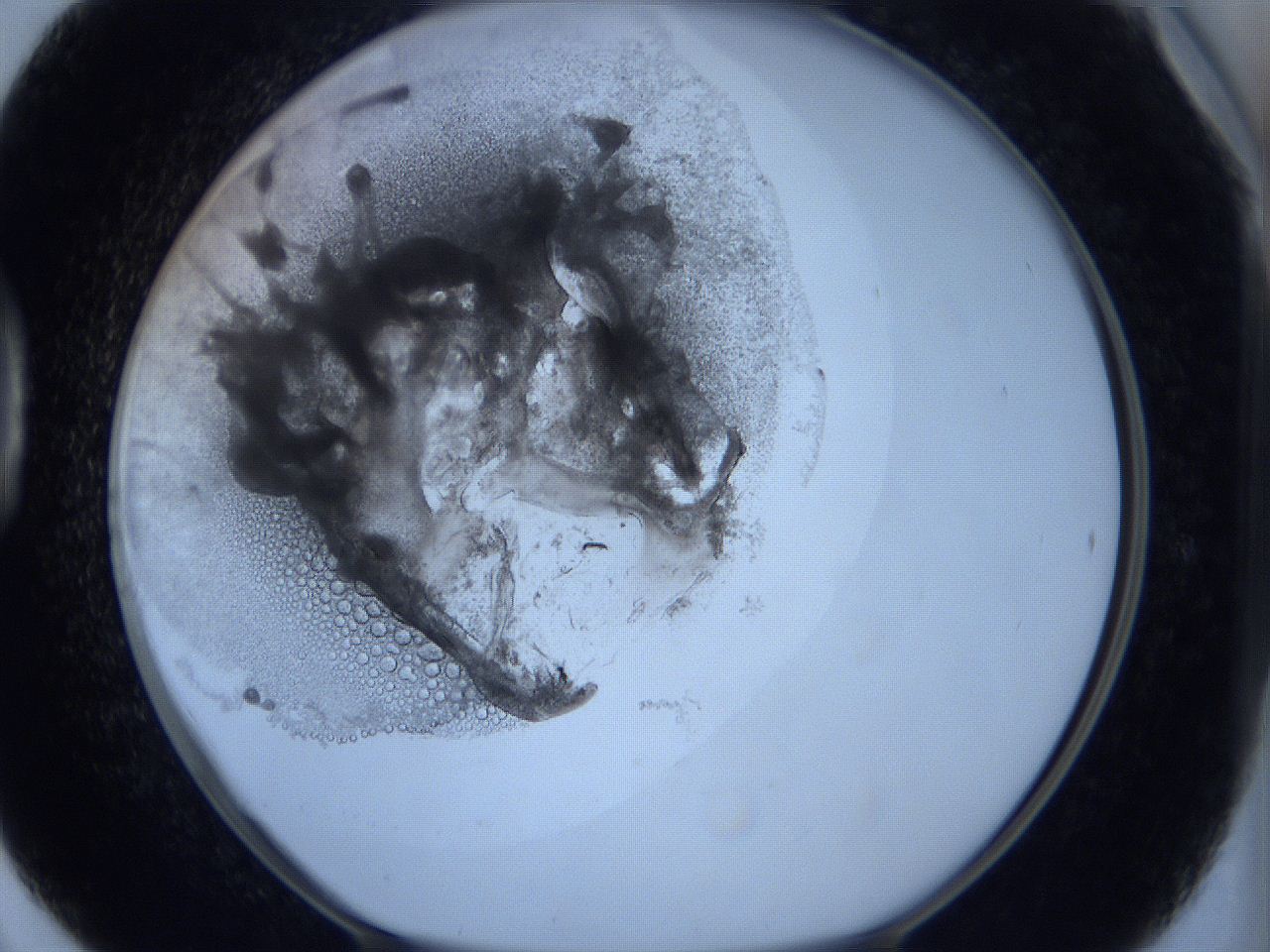 0627_D6_ImagerDefaults_3.jpg