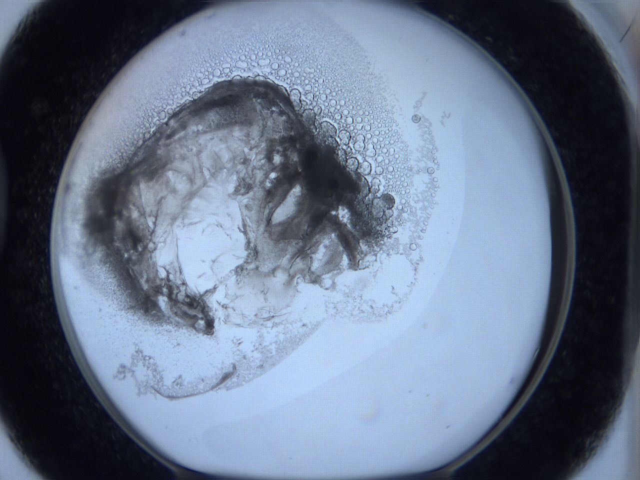 0627_D8_ImagerDefaults_5.jpg