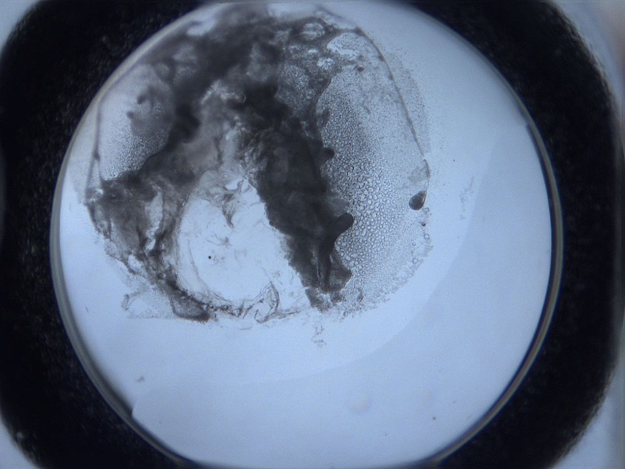 0627_D9_ImagerDefaults_5.jpg