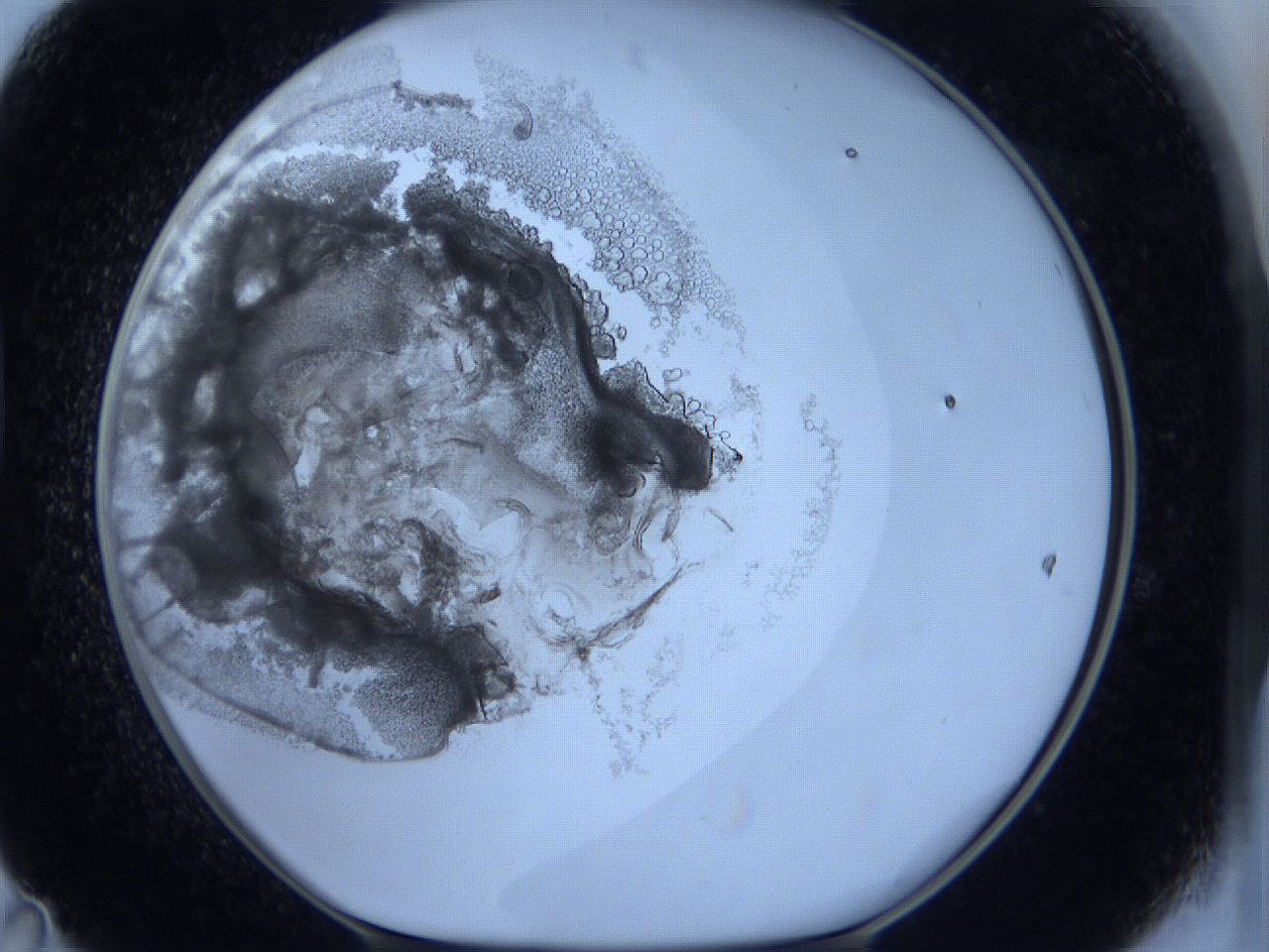 0627_D11_ImagerDefaults_3.jpg