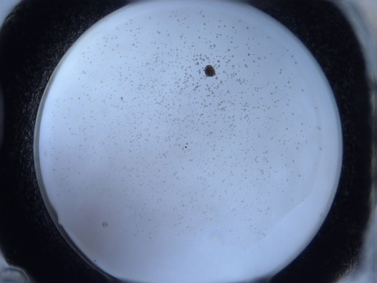 0627_D12_ImagerDefaults_0.jpg