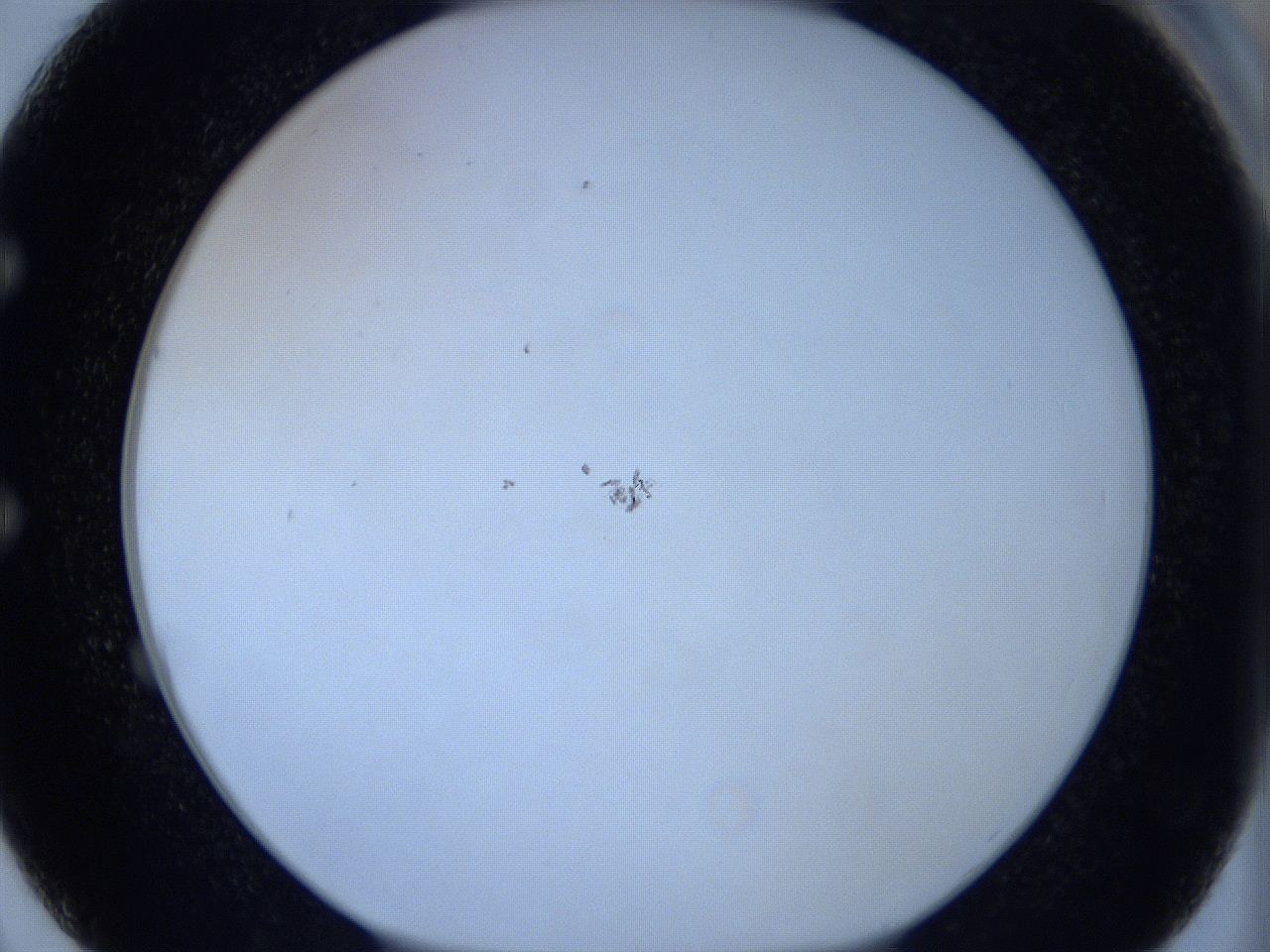 0627_E2_ImagerDefaults_1.jpg