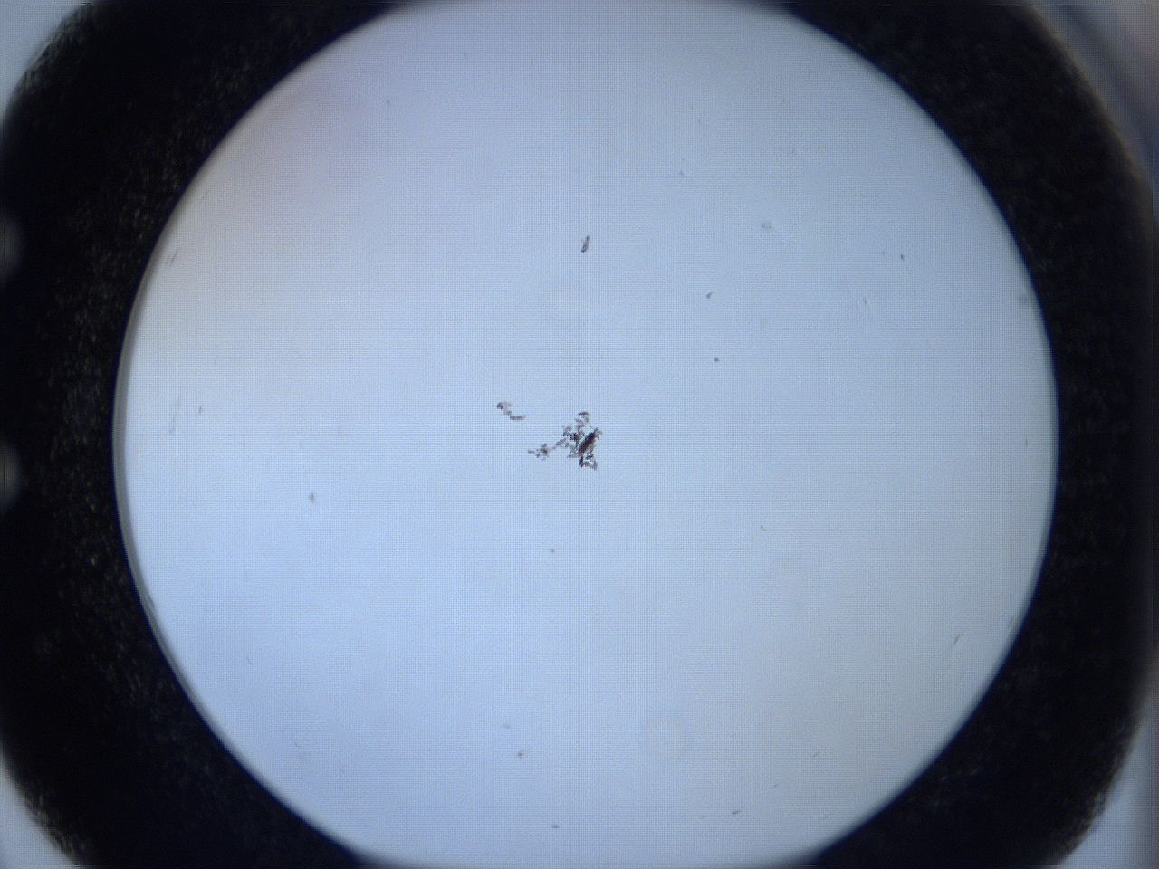 0627_E3_ImagerDefaults_1.jpg