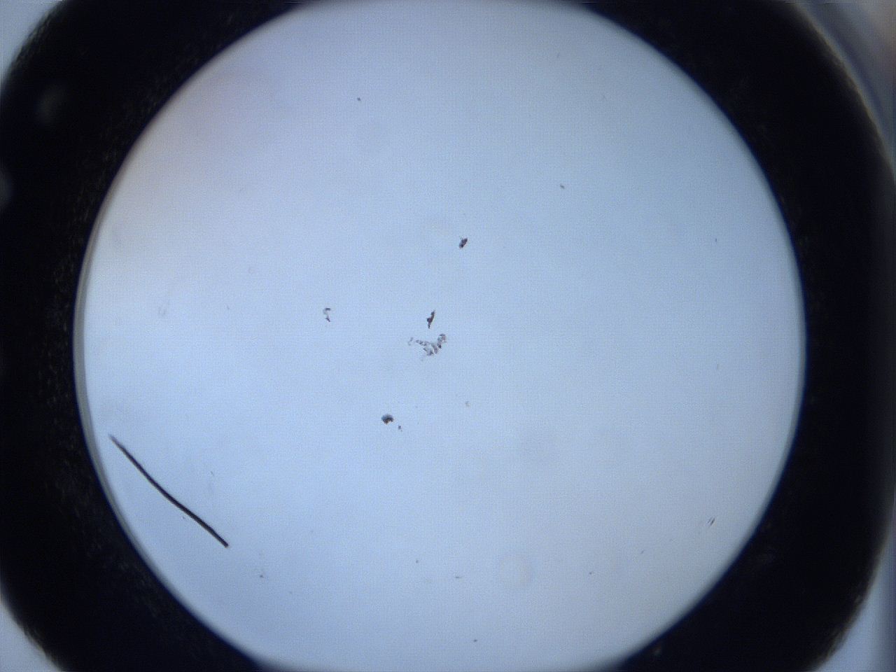 0627_E4_ImagerDefaults_1.jpg