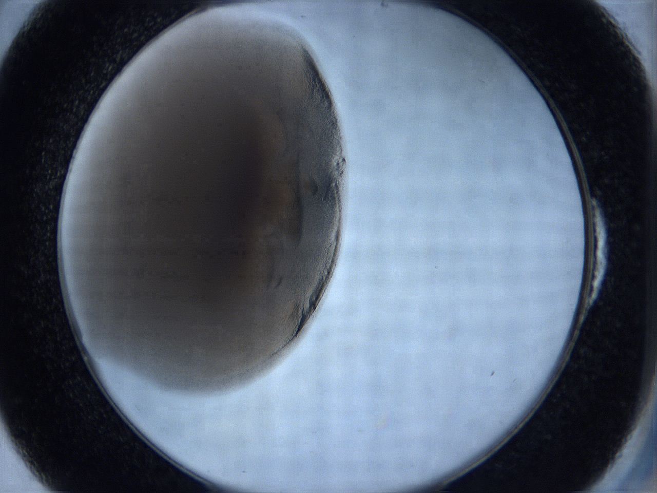 0627_E6_ImagerDefaults_3.jpg