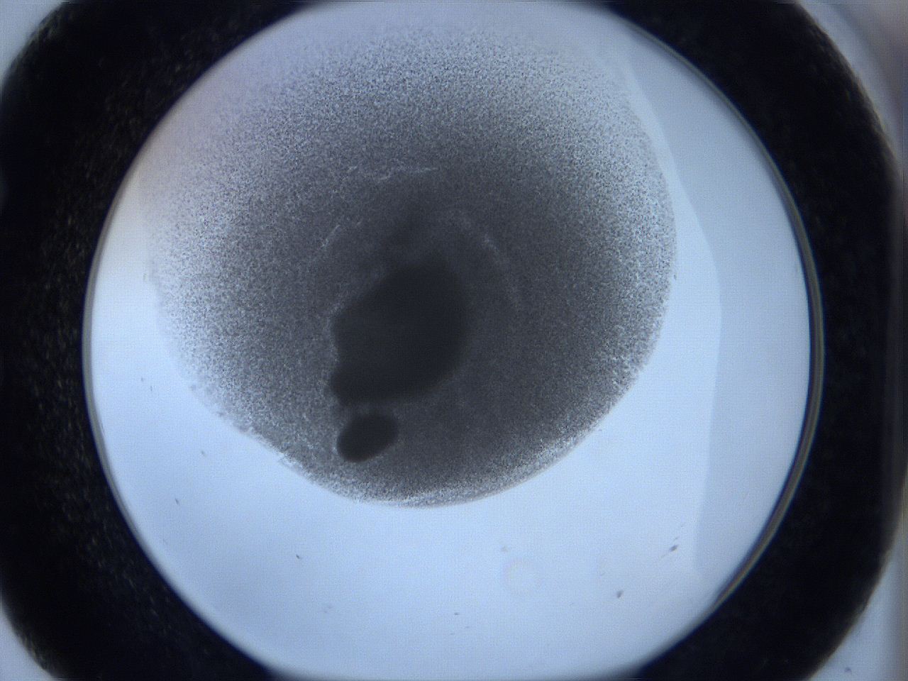 0627_E7_ImagerDefaults_2.jpg
