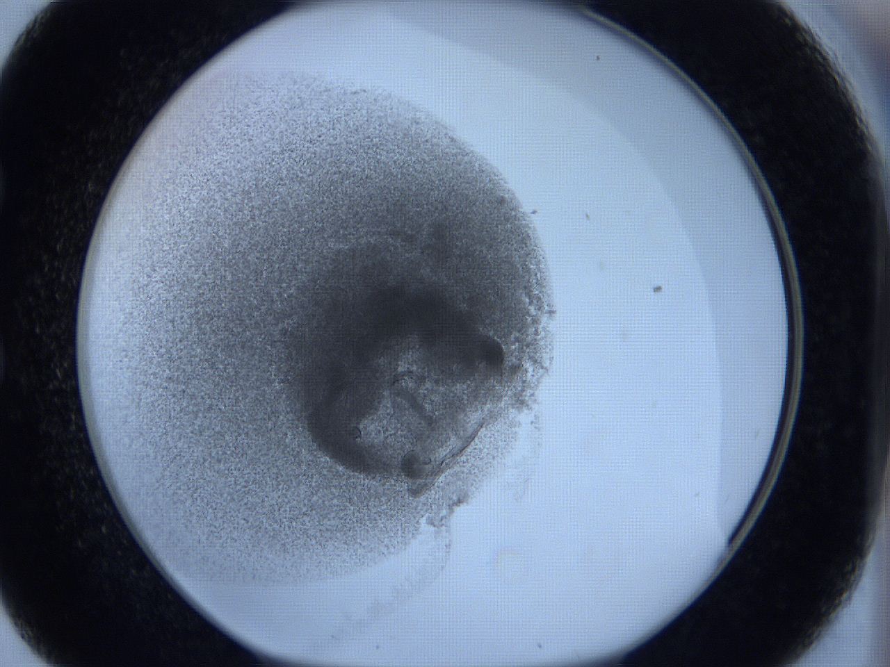 0627_E9_ImagerDefaults_2.jpg