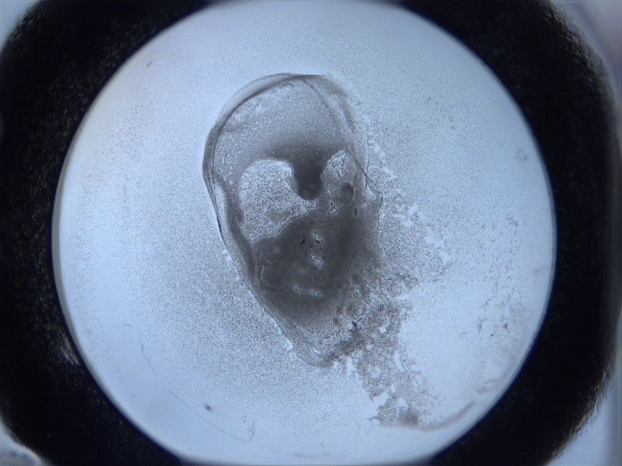 0627_E10_ImagerDefaults_3.jpg