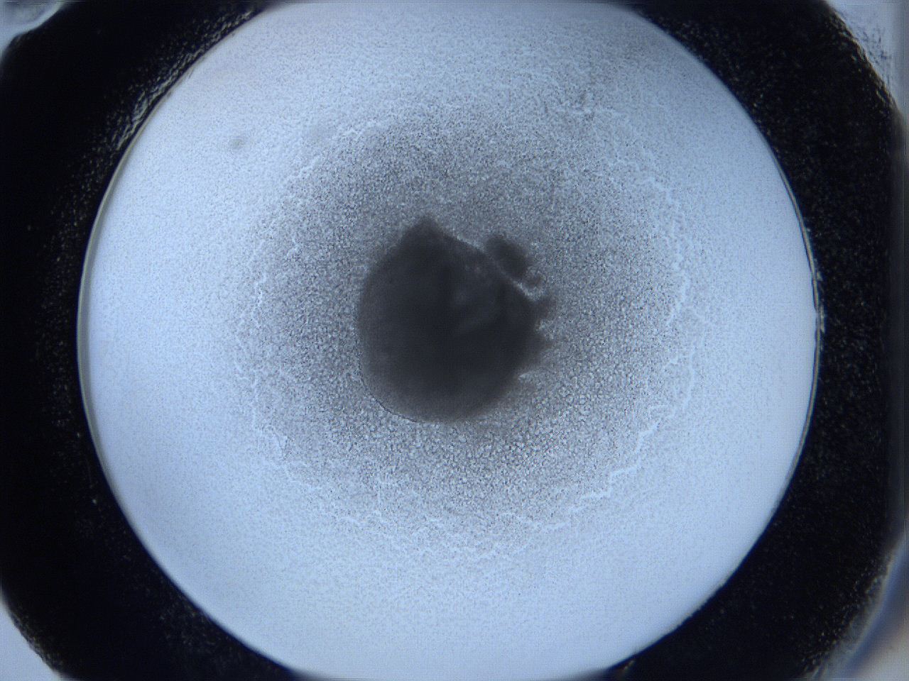 0627_E10_ImagerDefaults_2.jpg