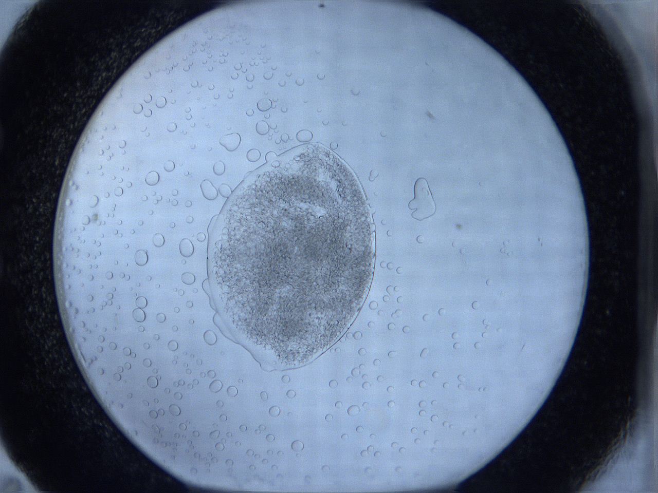 0627_E11_ImagerDefaults_5.jpg