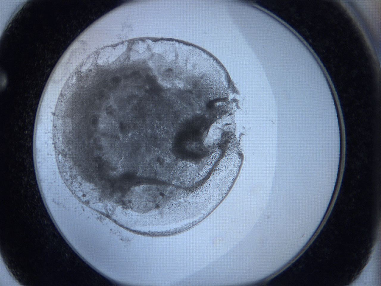 0627_F2_ImagerDefaults_3.jpg